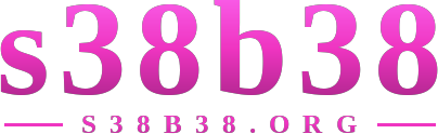 s38b38 logo